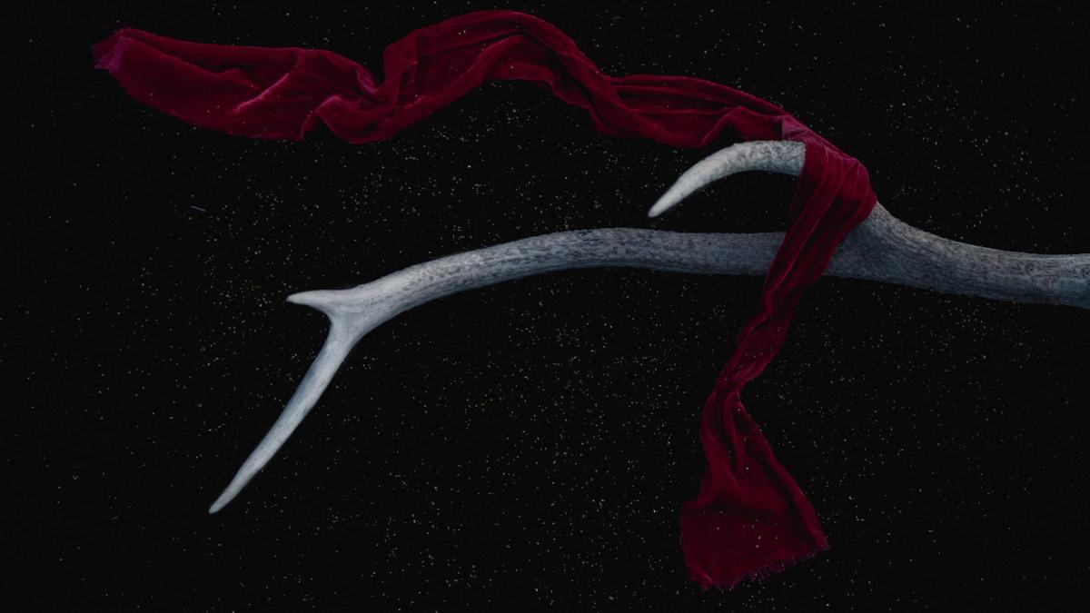 Wann Laufschuhe Wechseln Detailansicht: Wann Laufschuhe Wechseln