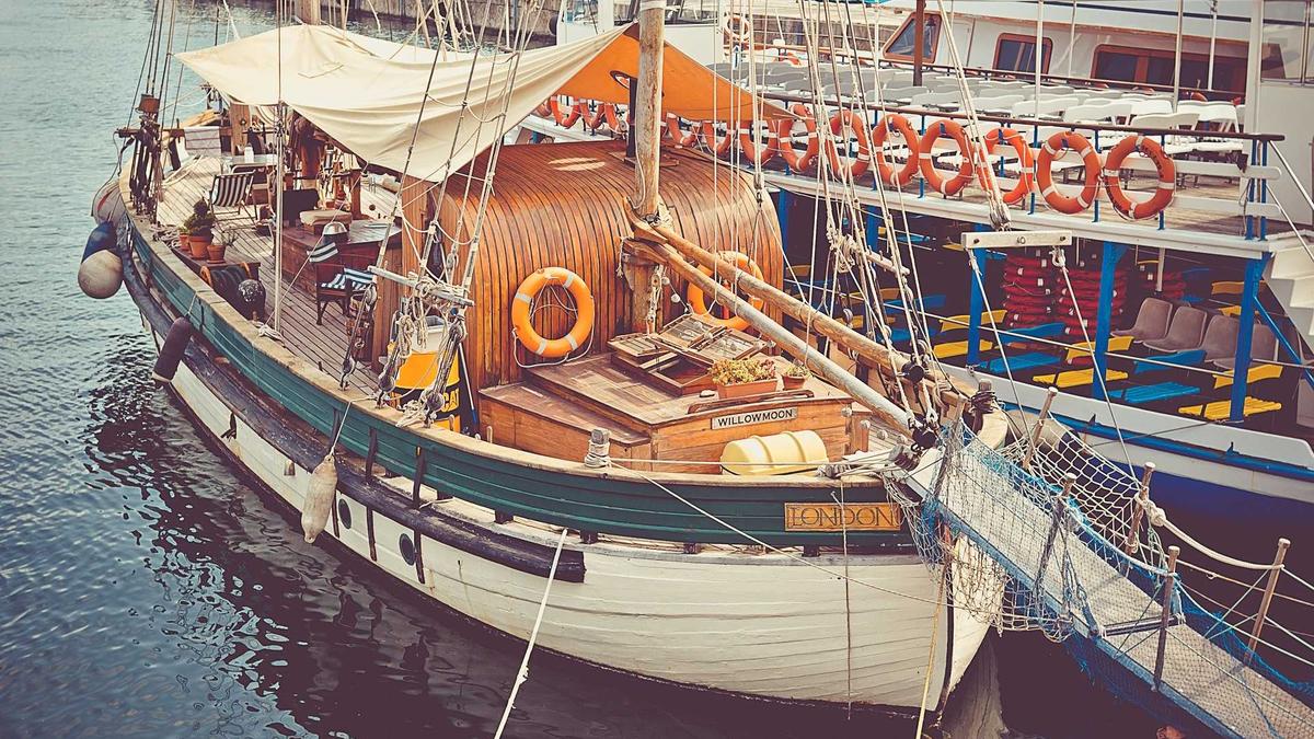 Wer Hat The Voice Kids 2026 Gewonnen Illustration zu Wer Hat The Voice Kids 2026 Gewonnen