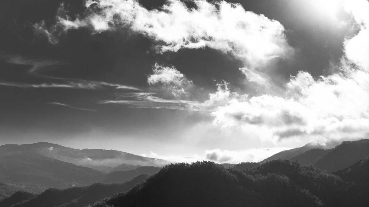 Illustration zu Zoe Saldana