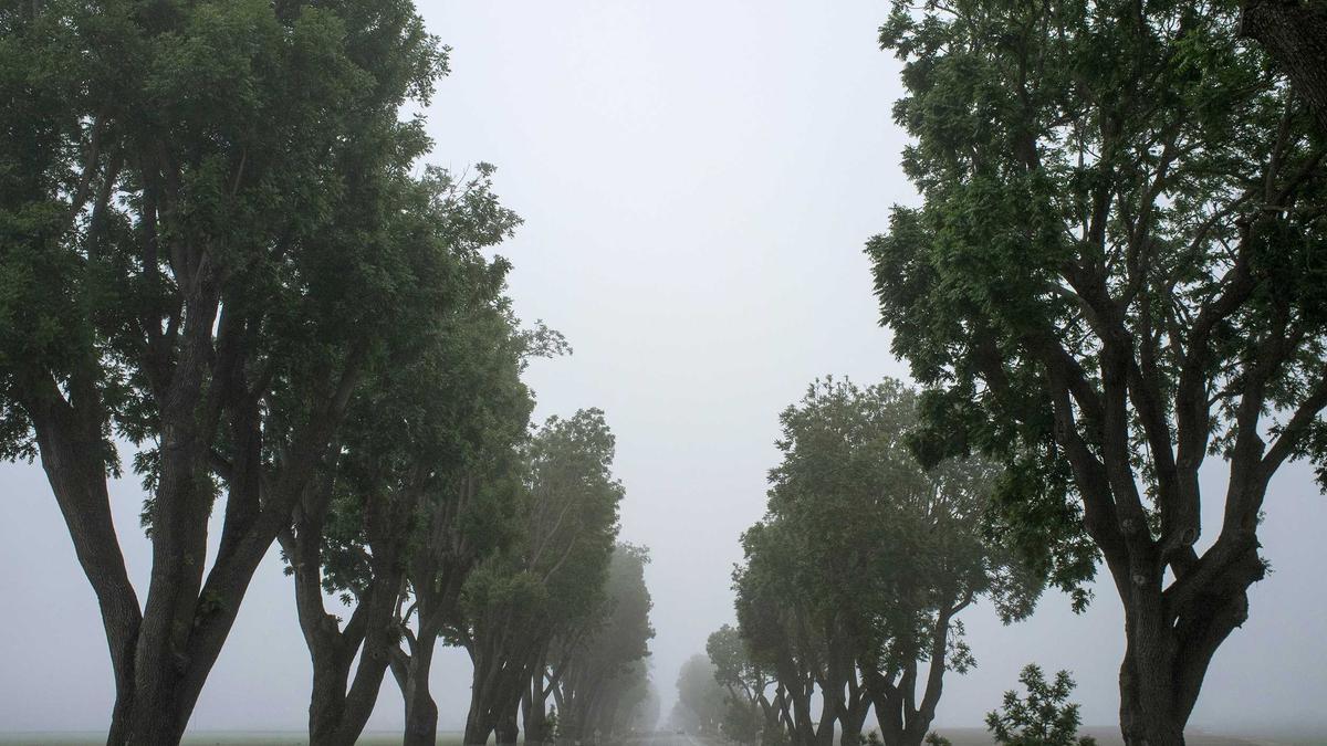Illustration zu Eishockey WM 2026