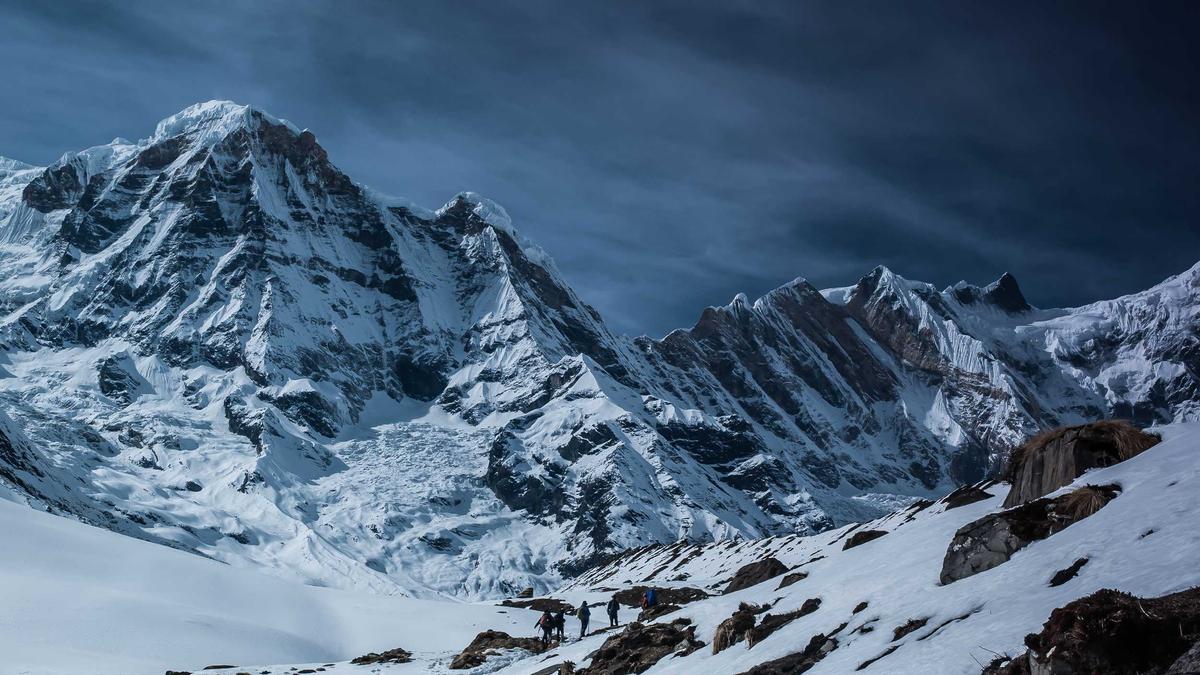 Detailansicht: Gehäkeltes Mammut
