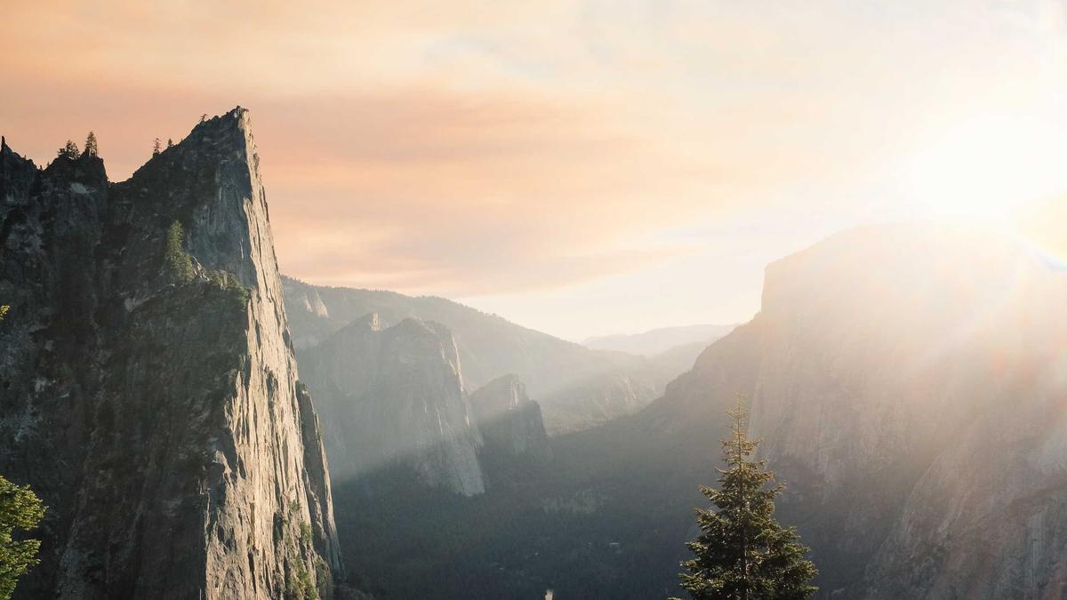 Detailansicht: Milka