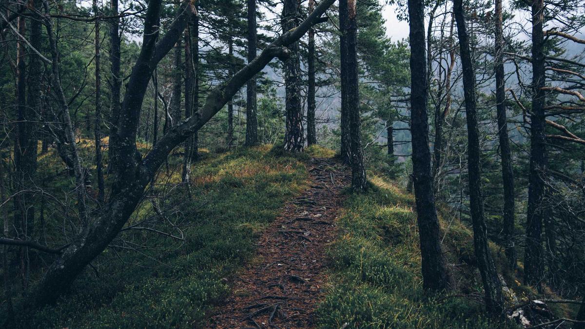 Detailansicht: Minenunglück China