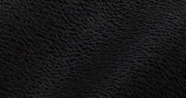 Geprägtes Leder mit Krokodilprägung: Detailaufnahme der Oberfläche und Textur einer hochwertigen Jacke
