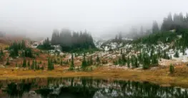 Lederjacke nach Regen trocknen – eine nasse braune Lederjacke hängt auf einem Holzbügel.